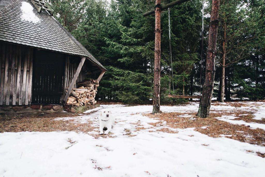 Pakaso Sodyba Villa Kirdeikiai Eksteriør bilde